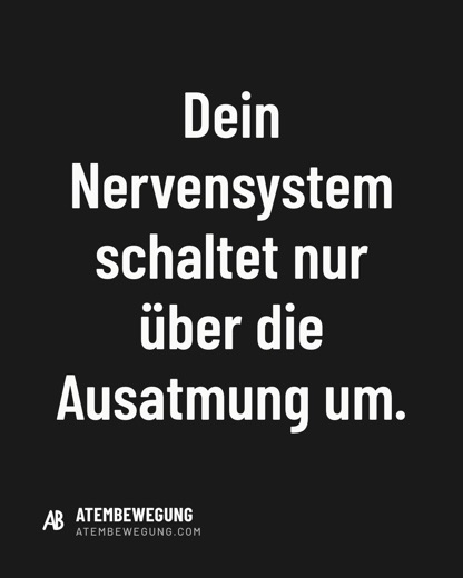 Kurzsatz
