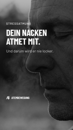 Anfangsbild